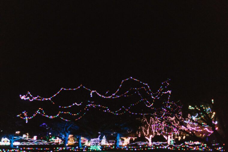 TREES ON THE TEES 21 322