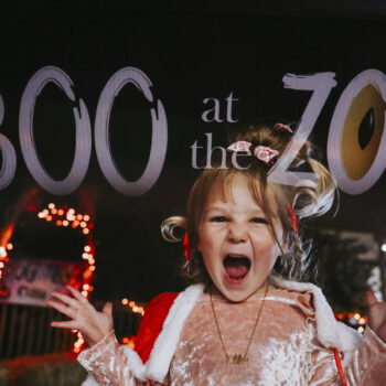 Boo at the Zoo 24 508